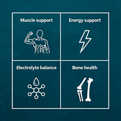 Bunkell® Amino BCAA – 2:1:1 BCAA Amino Acids with Electrolytes for Muscle Recovery & Hydration | 30 / 60 / 120 Capsules